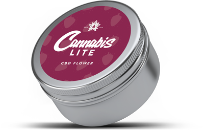 jungle berry cbd cannabis lite ireland
